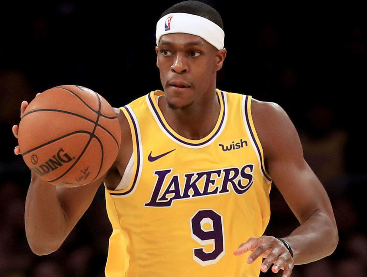 森林狼和灰 森林狼和灰